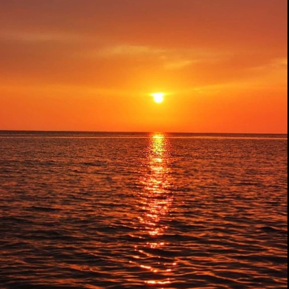 Meet your Posher, Bailey - Picture 1 of 1